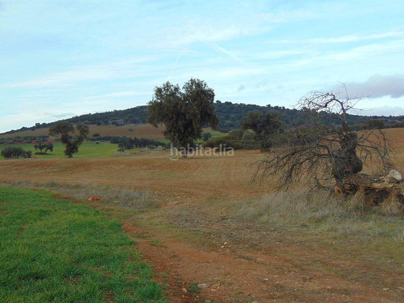 Foto 0b9593d3-daa1-47b4-b1f4-f4f2decb662d. Masía finca rúst. en venta en bazán. en Santa Cruz de Mudela