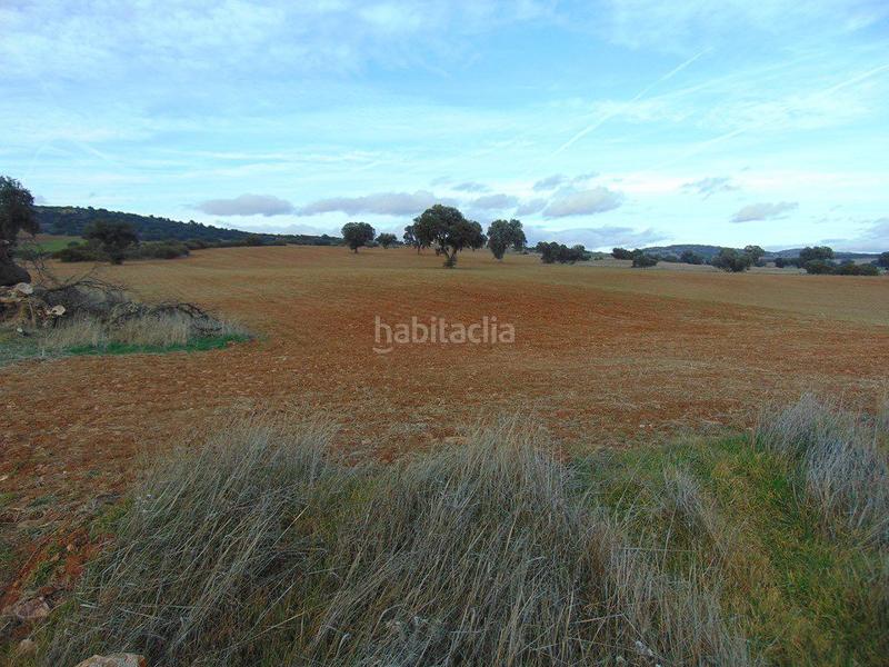 Foto 1f2b200d-d656-4a0e-8a5c-77424f4d5a3c. Masía finca rúst. en venta en bazán. en Santa Cruz de Mudela