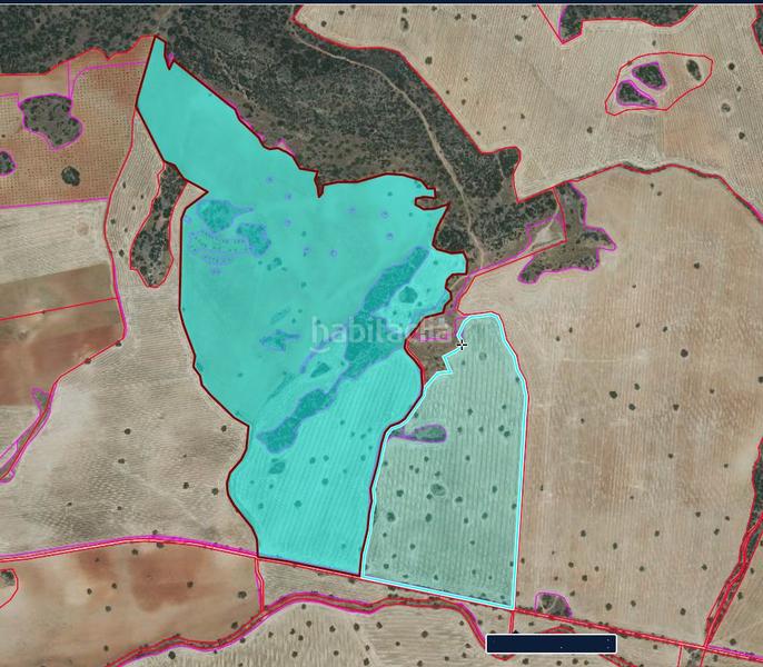 Foto 41a3836b-0f1c-4f2c-8155-e189ab943d86. Masía finca rúst. en venta en bazán. en Santa Cruz de Mudela