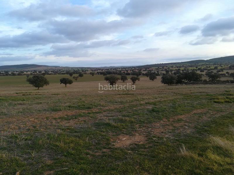 Foto 63c85d34-968d-4b2c-bedc-e3e9a02e43d2. Masía finca rúst. en venta en bazán. en Santa Cruz de Mudela