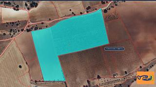 Masia a Campo de Criptana. Finca rúst. en venta en campo de criptana.
