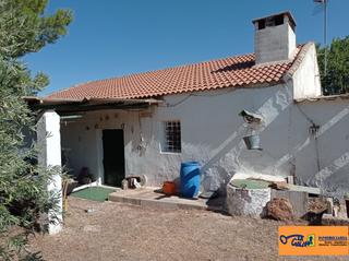 Masia a Valdepeñas. Finca rúst. en venta en carretera de cozar, 2 dormitorios.