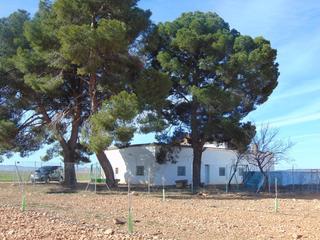 Masia a Valdepeñas. Finca rúst. en venta en carretera santa cruz.