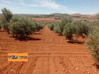 Mas à Valdepeñas. Finca rúst. en venta en carretera santa cruz.