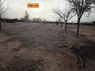 Masia a Valdepeñas. Finca rúst. en venta en nacional  iv.