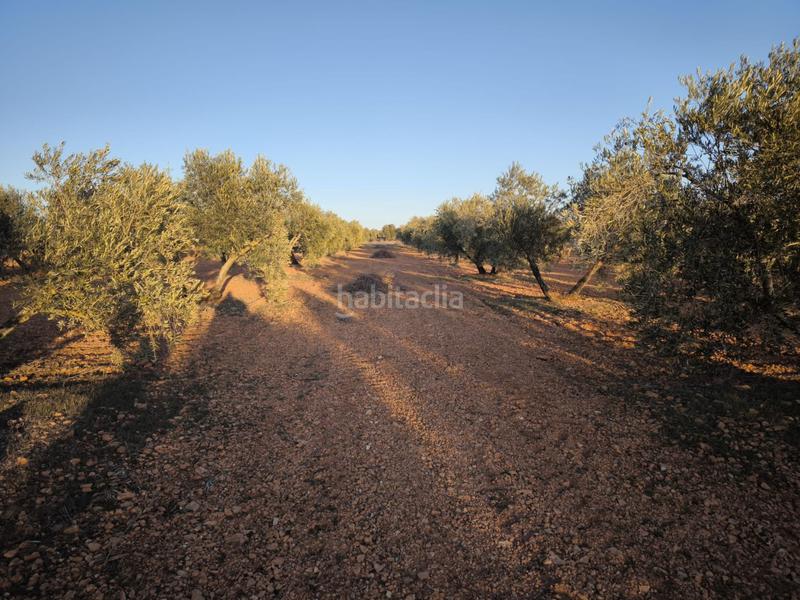 Foto 0d7a84e3-5ffe-42e3-8b5e-5867a75d82a3. Chalet in Valdepeñas