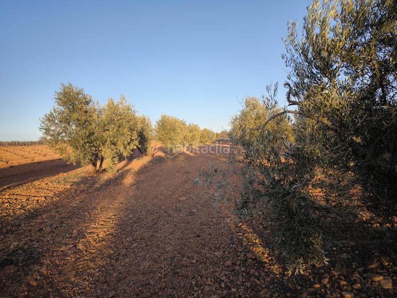 Foto 0f3c50bd-3c61-4e8d-87c7-cc683ad825af. Chalet in Valdepeñas