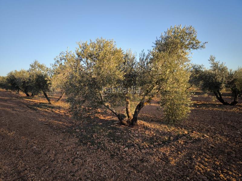 Foto 328c5570-985a-4b07-8024-c7f28b0b75cf. Chalet in Valdepeñas