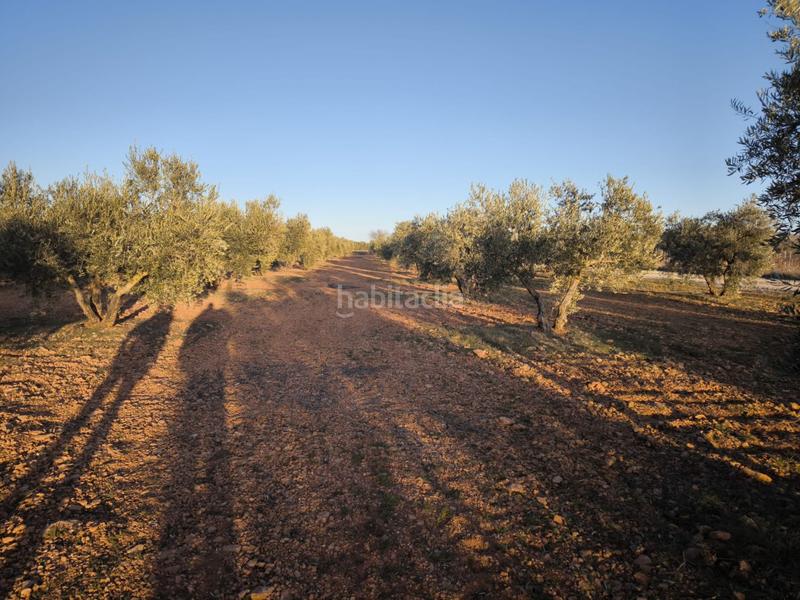 Foto 439d1436-af20-42a4-a199-bd3ca7c2afbc. Chalet in Valdepeñas