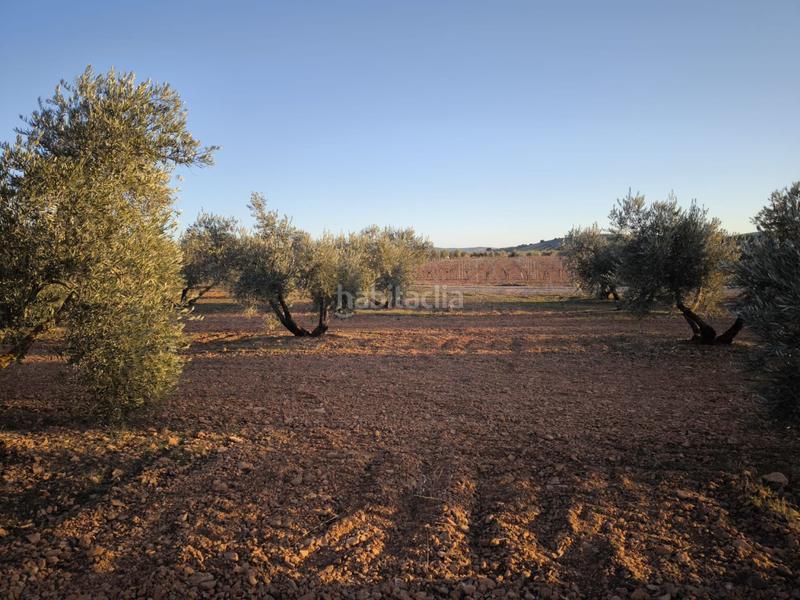 Foto 6bce37cf-bfce-4538-8a92-57798f447a44. Chalet in Valdepeñas