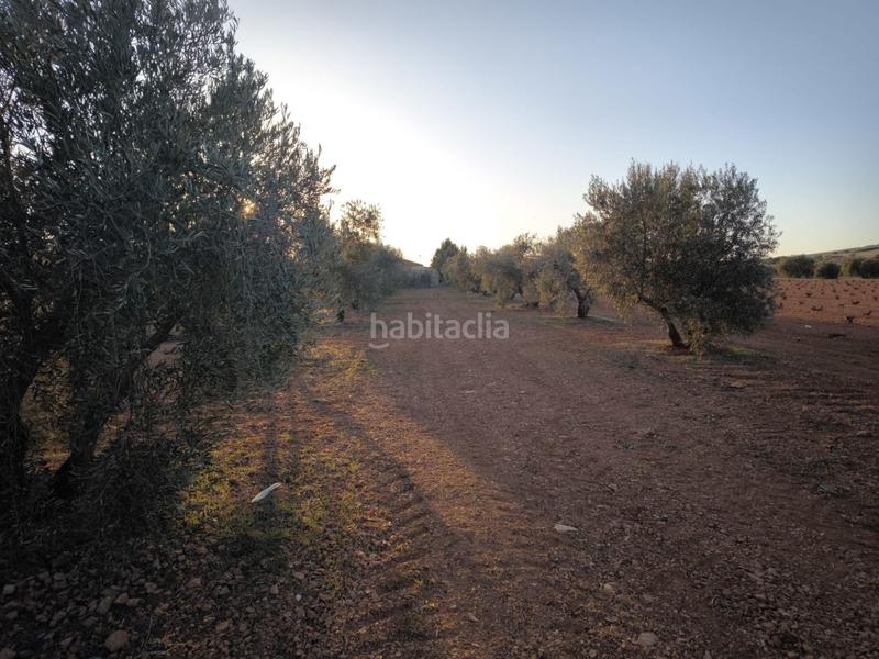 Foto c06bffbc-6789-4927-89a9-805167eefe33. Chalet in Valdepeñas