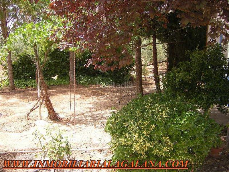 Foto 26832083-10f4-40c4-8976-237bc5510a89. Chalet  en venta en carretera infantes, 2 dormitorios. en Valdepeñas