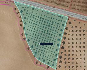 Masia a Alhambra. Finca rúst. en venta en valdepeñas.