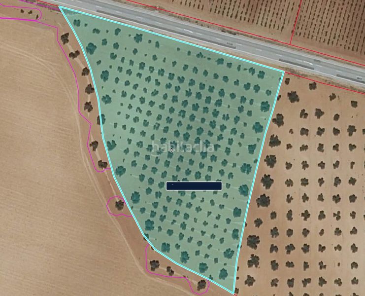 Foto d07877da-4f3f-4bbb-9523-7b8f17b49d53. Masia a Alhambra