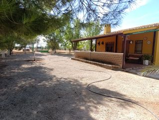 Masía en Valdepeñas. Finca rúst. en venta en carretera de cozar, 2 dormitorios.