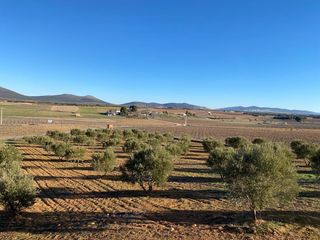 Masia a Valdepeñas. Finca rúst. en venta en carretara del cristo, 3 dormitorios.