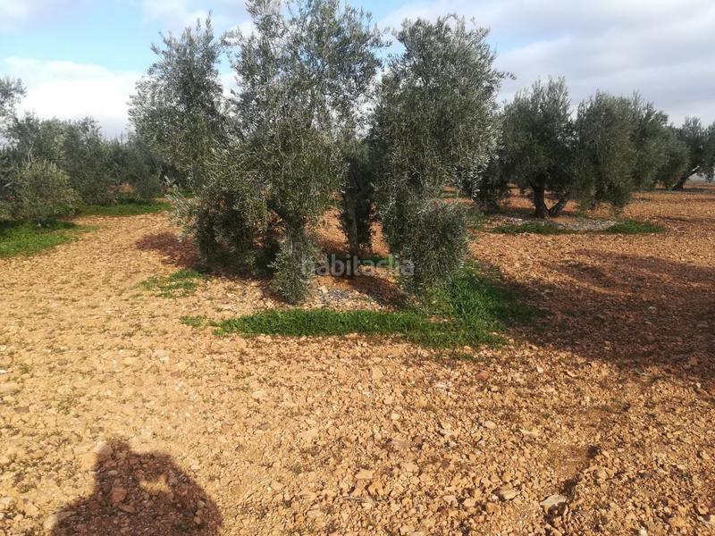 Foto 07702849-0b20-4e3b-95de-05a199c076cd. Rural plot in Valdepeñas