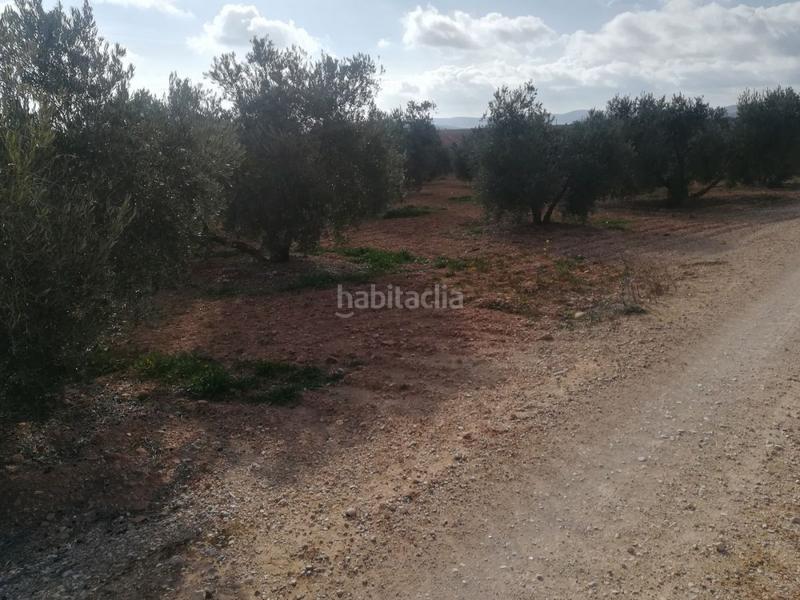 Foto 8d9c4f63-c92f-4ab5-9523-4684b4f629a7. Rural plot in Valdepeñas