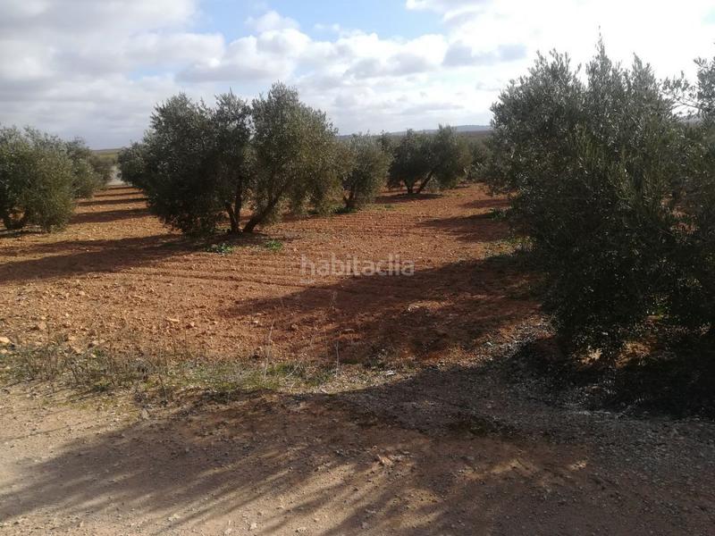 Foto b095708e-f5de-4550-80b8-2958bf2d424c. Rural plot in Valdepeñas