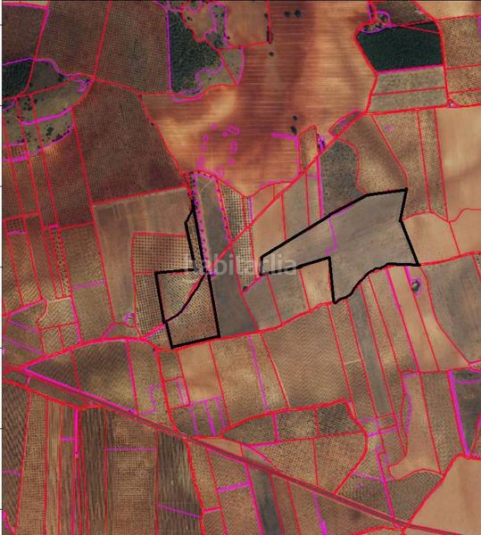 Foto cd905fe9-5bd7-4451-b1f2-48c1b8a5d23b. Rural plot in Valdepeñas