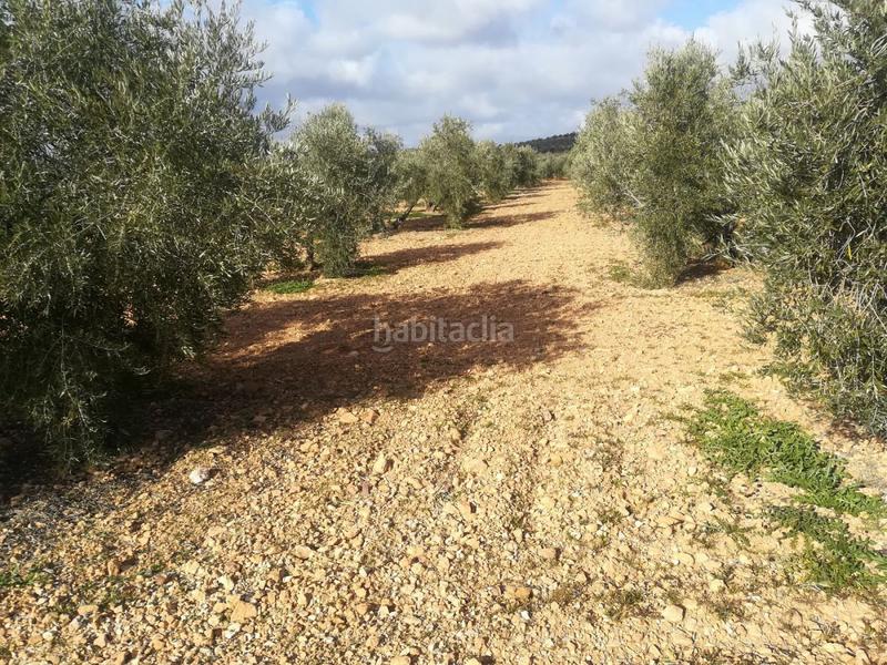 Foto d2e6c761-0852-4419-bae4-b7781e93ff1d. Rural plot in Valdepeñas