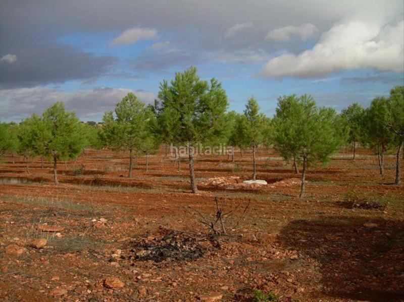 Foto dfb9ff73-9038-4cae-8c19-5ad04f75e79f. Finca rústica a Valdepeñas