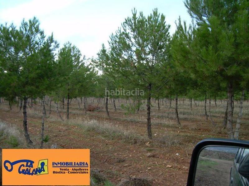 Foto dab30077-890f-4c82-a283-23e7a92c4833. Finca rústica a Valdepeñas
