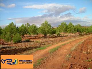 Finca rústica a Valdepeñas. Finca rúst. en venta en valdepeñas.