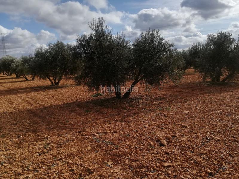 Foto 3cf5c98a-b9a1-42eb-95a1-57a391cd5242. Mas dans Valdepeñas