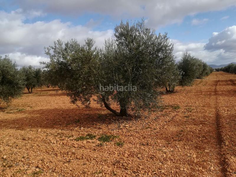 Foto 4449614a-118e-4975-8ebd-5be6ea0861a8. Mas dans Valdepeñas