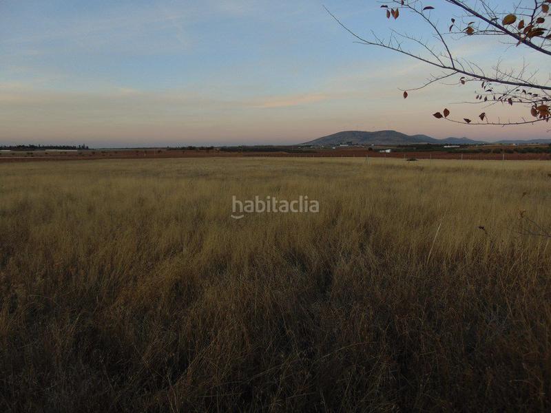 Foto ad152815-2fb4-4aec-8076-ec55caa31f75. Finca rústica a Valdepeñas