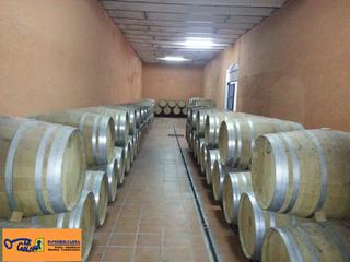 Geschäftsraum in Valdepeñas. Negocio en venta en valdepeñas.