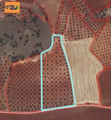Propriété à Valdepeñas. Finca rúst. en venta en carretera de cozar.
