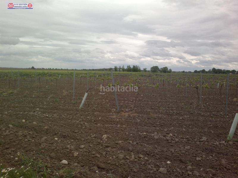 Foto d01821ec-b231-43e6-a4fa-8472db7e64dc. Finca rústica a Tomelloso