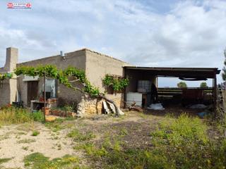 Finca rústica a Alcázar de San Juan. Se vende finca rustica de regadio en el sitio del charcon