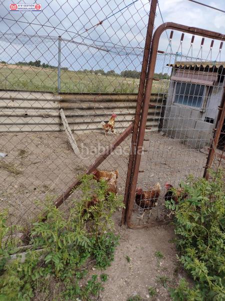 Foto 8ce678be-9ba3-4f00-b30b-458d4452da76. Rural plot in Alcázar de San Juan