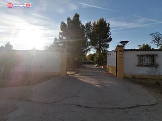 Mas à Alcázar de San Juan. Casa en el campo sobre parcela de 30.000 metros con 400 olivos