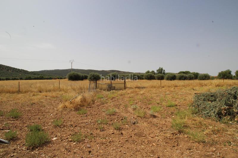 Foto 388d32c1-cec9-499e-bff7-16385facd415. Chalet in Argamasilla de Calatrava