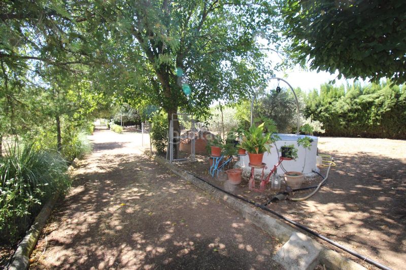 Foto 421b7311-3530-48bc-9c85-5517ae16cf6f. Xalet amb piscina a Almodóvar del Campo