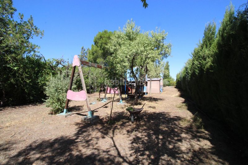 Foto aa341917-d354-448a-8da8-cbef84c6bc63. Xalet amb piscina a Almodóvar del Campo