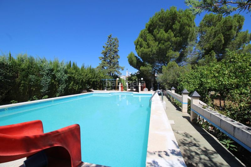 Foto ac492080-29f3-44ec-820f-0b228d8012d4. Xalet amb piscina a Almodóvar del Campo