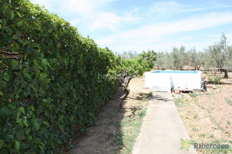 Foto 43648850-efb9-4ecd-a8e9-51105b5c0b44. Landgut in carretera corella 0 in Parque del Queiles Tudela