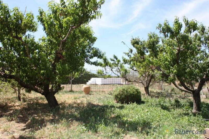 Foto dfa1ee8b-4ef7-4de8-a96b-89a50a600543. Landgut in carretera corella 0 in Parque del Queiles Tudela