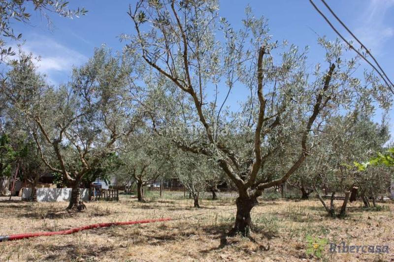 Foto efdc48c5-7f7a-4706-a870-f0ab559d1581. Landgut in carretera corella 0 in Parque del Queiles Tudela