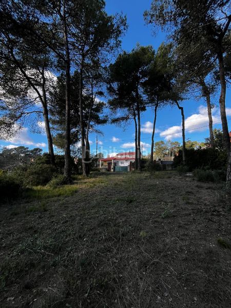 Foto acaf0f33-d384-4ce4-bae7-e09e50dbfcfc. Terreny residencial a Vallirana