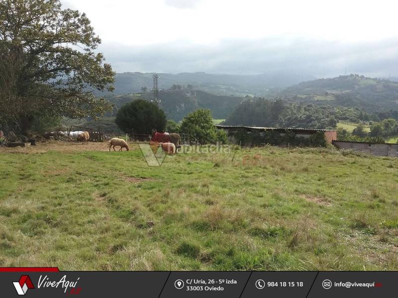 Foto 1a75f03c-06f8-45e7-ab17-ff0b91443ab4. Propriété dans Regueras (Las)