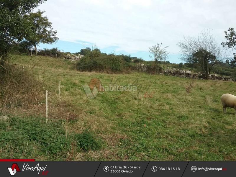 Foto 2f7aa37d-5115-4d30-854e-69c16d617bed. Propriété dans Regueras (Las)