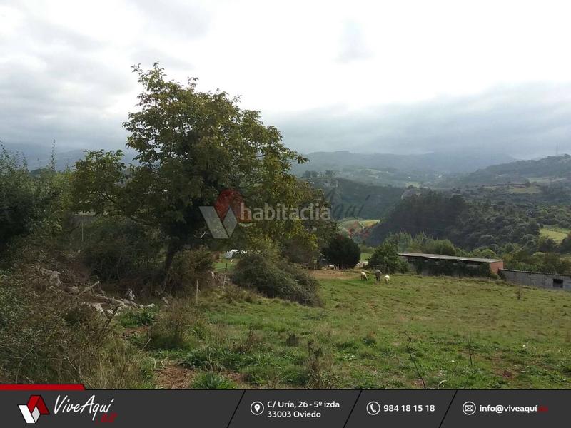 Foto 6dcae4f8-b1e4-4582-9e4f-729b7076a2c5. Propriété dans Regueras (Las)