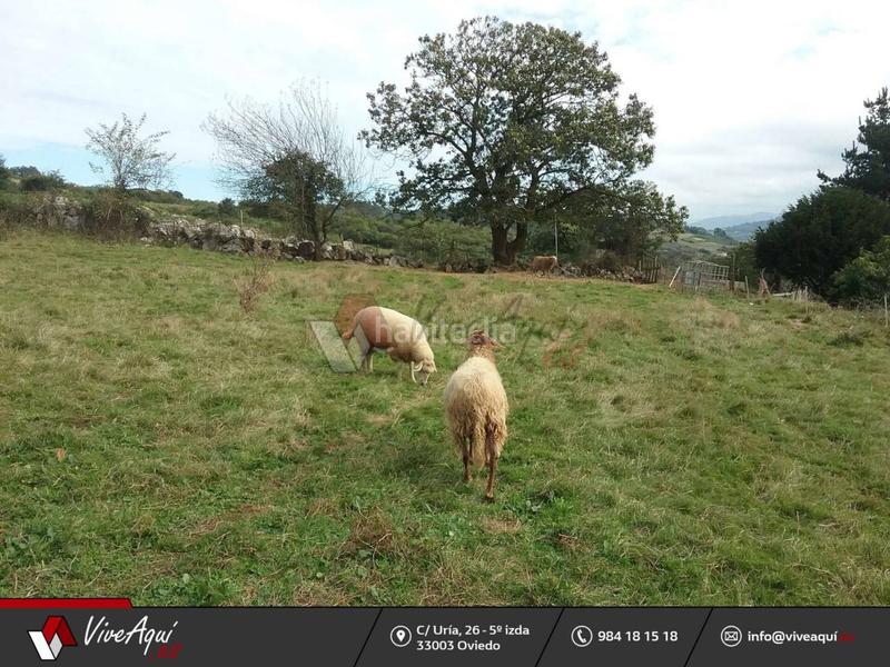 Foto f179d2d0-04de-452d-8f19-1bc29ff7cf4e. Propriété dans Regueras (Las)