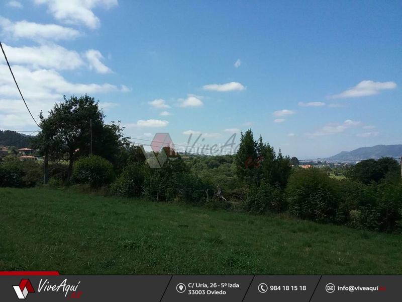 Foto c86aeeaa-09be-46f8-a98e-33d1244f219e. Terreny residencial a Viella-Granda-Meres Siero